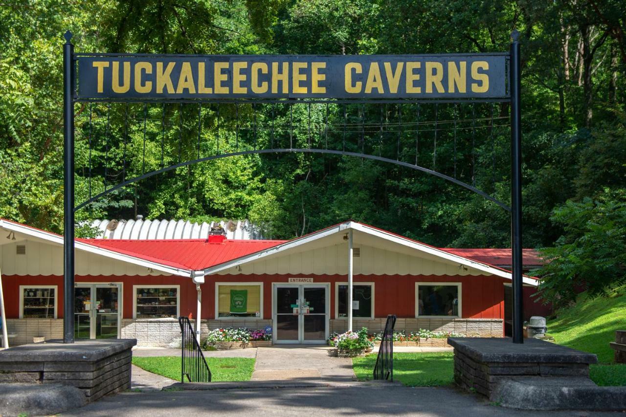 Villa Bear Haven Tuckaleechee Exterior foto
